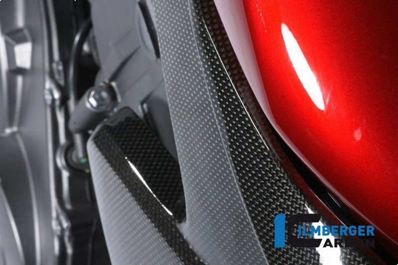 ILMBERGER / イルムバーガーカーボンパーツ ラジエーターカバー 左側 CB 1000 R | WKL.007.CB10R.K