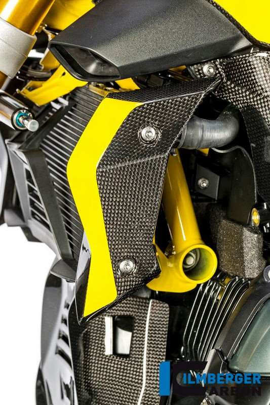 ILMBERGER / イルムバーガーカーボンパーツ ウォータークーラーカバー 左側 - BMW R 1200 R (LC) | WKL.010.R12RL.K