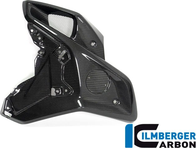 ILMBERGER / イルムバーガーカーボンパーツ エアチューブ 左側 (オリジナルステンレスディフレクター用) BMW R 1250 GS | WKL.026.GS19T.K