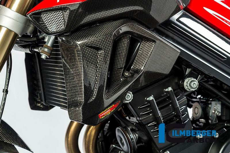 ILMBERGER / イルムバーガーカーボンパーツ ラジエーターカバー 左側 - BMW F 800 R (2015-) - WKL.103.F8R15.K | WKL.103.F8R15.K