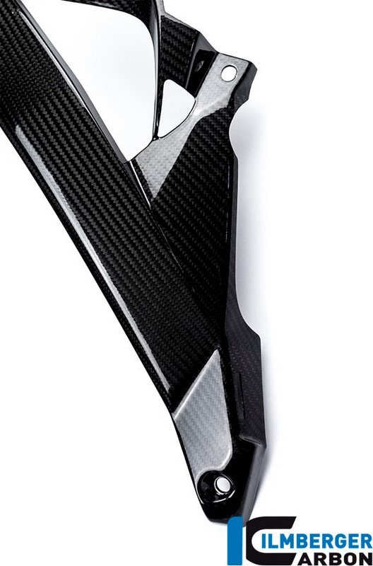 ILMBERGER / イルムバーガーカーボンパーツ ウォータークーラーカバー 左側 カーボン BMW S1000R 2014- | WKL.208.S100N.K