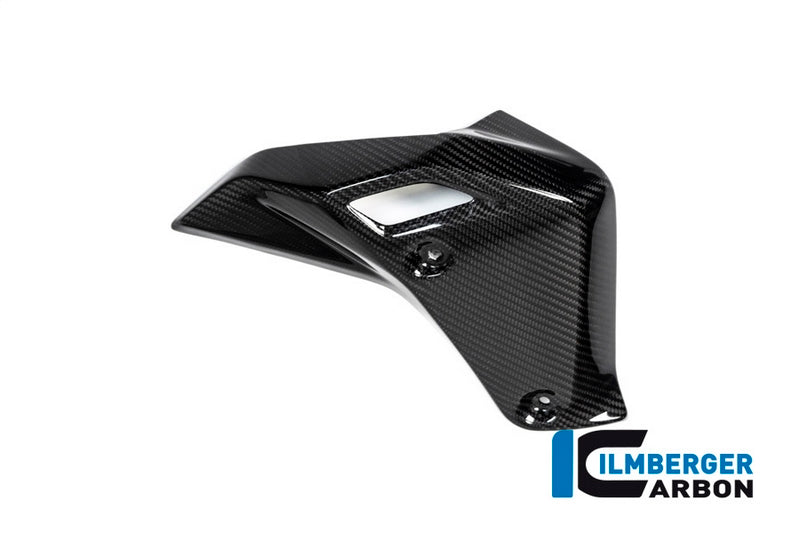 Ilmberger / イルムバーガーカーボンパーツ ウォータークーラーカバー 右 BMW R 1250 R (LC) 2019 | WKR.002.R125R.K