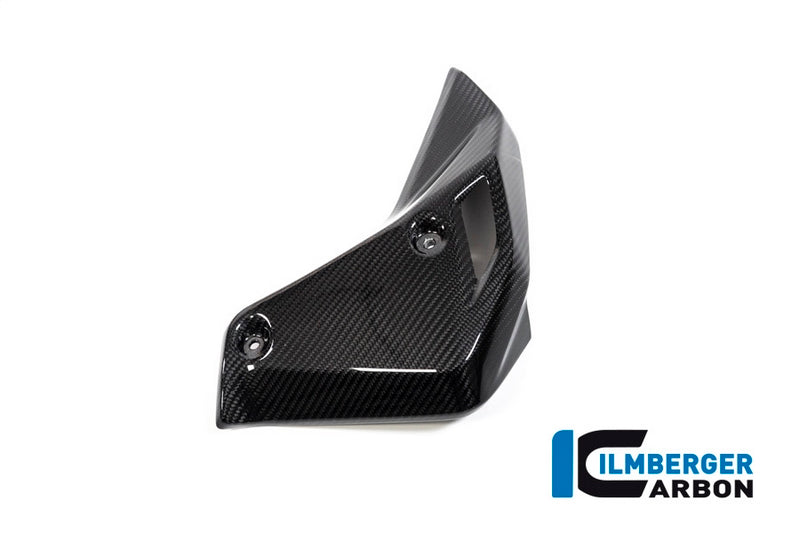 Ilmberger / イルムバーガーカーボンパーツ ウォータークーラーカバー 右 BMW R 1250 R (LC) 2019 | WKR.002.R125R.K