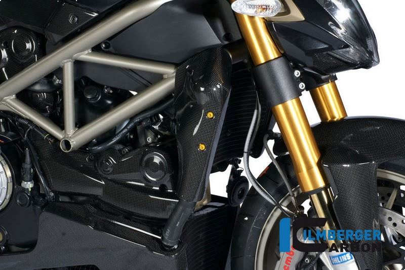 ILMBERGER / イルムバーガーカーボンパーツ ウォータクーラー カバー　右側 | WKR.013.STRFI.K