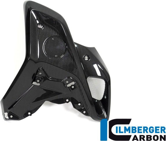 ILMBERGER / イルムバーガーカーボンパーツ エアチューブ 右側 (オリジナルステンレスディフレクター用) BMW R 1250 GS | WKR.025.GS19T.K