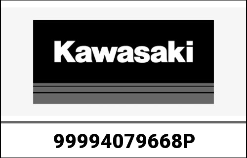 KAWASAKI Seat Cowl  Metallic Matte Graphine Steel Gray/68P | 99994079668P