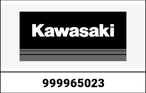 KAWASAKI Drive Chain Kit En650Dlfa | 999965023