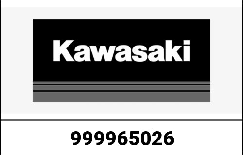 KAWASAKI Antriebskettensatz Z650/Z650Rs/Ninja650 | 999965026