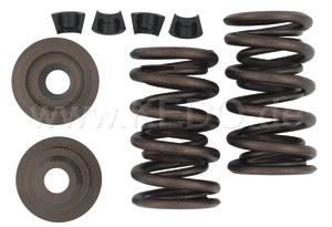 Kedo Racing Valve Springs (Steel-tops) | 30976
