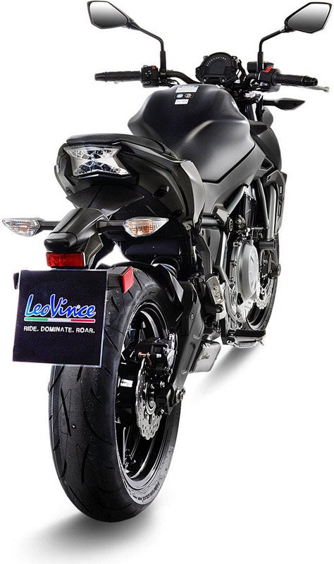 LeoVince / レオビンチ アンダーボディー ステンレス - フルシステム 2/1 （キャタライザー付） | 14170K