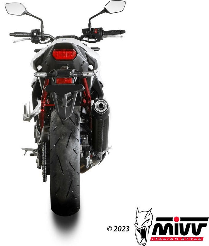 OVAL CARBON WITH CARBON CAP SLIP-ON Standard