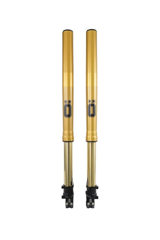 OHLINS / オーリンズ フロントフォーク  Adventure | FFHO-102