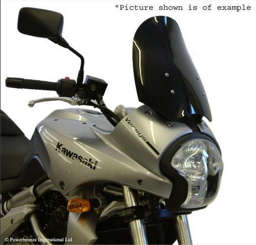 Powerbronze / パワーブロンズ フリップスクリーン フロストステルスグレー KAWASAKI KLE500  91-93 | 420-K103-019