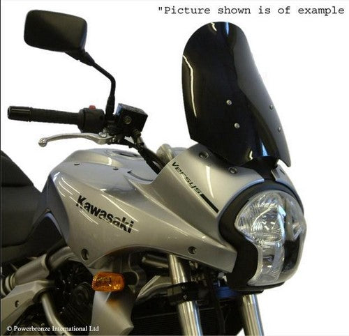 Powerbronze / パワーブロンズ フリップスクリーン フロストステルスグレー KAWASAKI GPX600R  88-96 | 420-K110-019