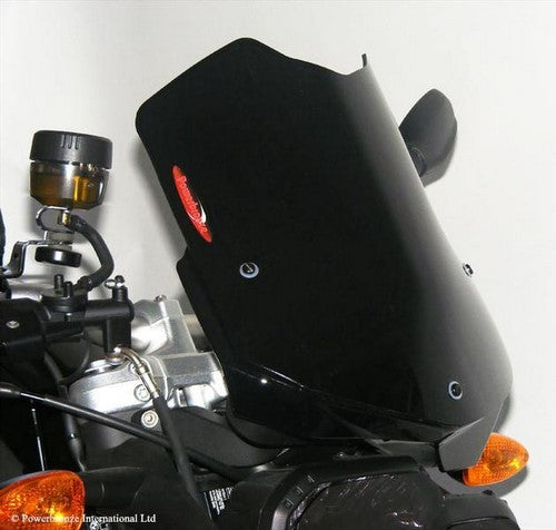 Powerbronze / パワーブロンズ ライトスクリーン フロストステルスグレー BMW F800R  09-14 (330 MM) | 430-U138-019