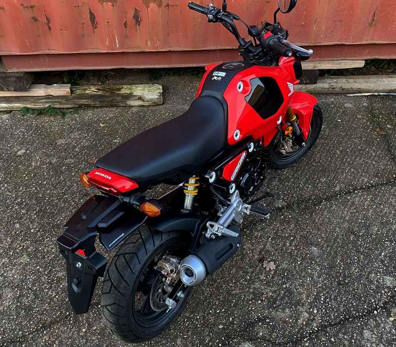 Pyramid / ピラミッド リアスプラッシュプロテクター マットブラック | Honda MSX 125 2021- | 31913M