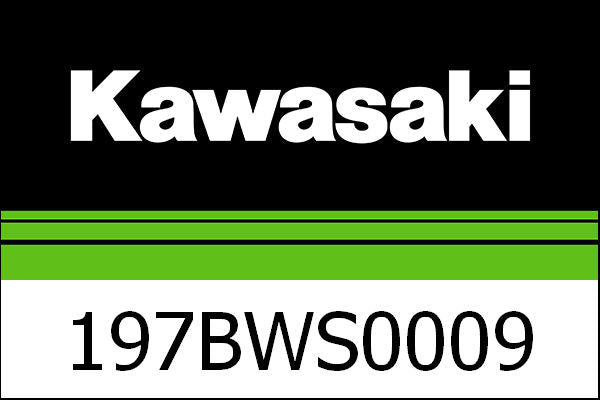 Kawasaki / カワサキ ホイールリムリング GP シルバー | 197BWS0009