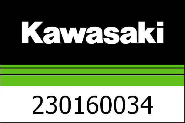 Kawasaki / カワサキ ランプ-アッシー FI ワーニング | 230160034