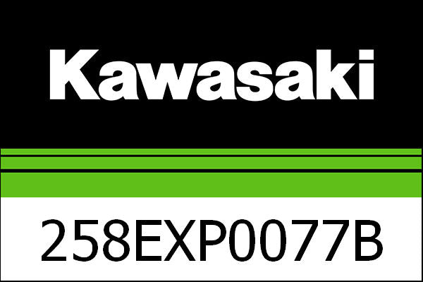 Kawasaki / カワサキ エグゾースト NINJA H2 AKRALOG | 258EXP0077B
