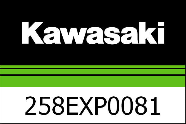 Kawasaki / カワサキ エグゾースト カーボン | 258EXP0081