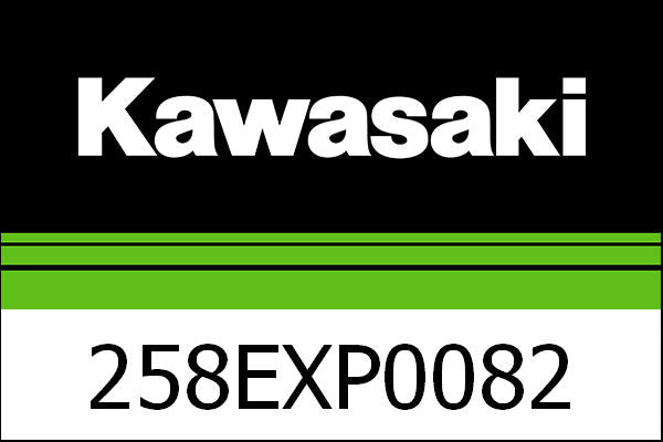 Kawasaki / カワサキ AKRAPOVIC デュアル エグゾースト T | 258EXP0082