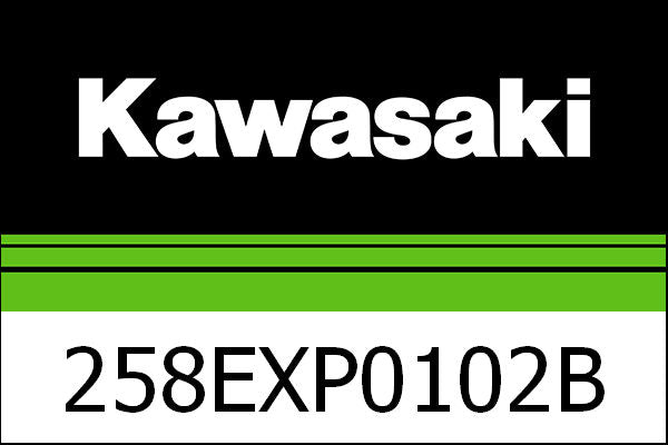 Kawasaki / カワサキ エグゾースト フル TI. キャット EU5 | 258EXP0102B