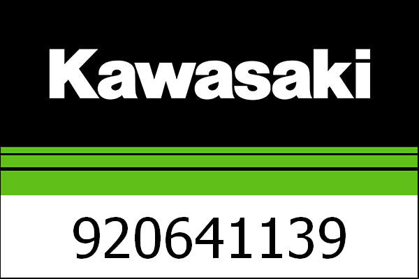 Kawasaki / カワサキ ジェット パイロット #38 | 920641139