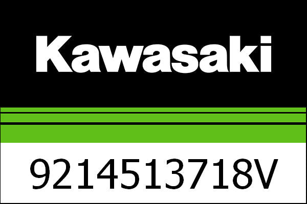 Kawasaki / カワサキ スプリング ショックアブソーバー  K = 43.1 N / MM | 9214513718V