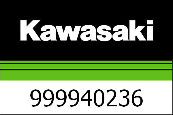 Kawasaki / カワサキ ドライビングライト キット | 999940236