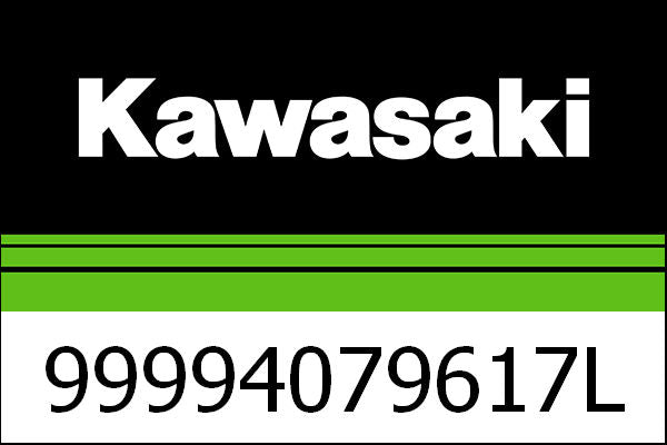 Kawasaki / カワサキ キット  シングル シート カバー  キャンディバーン オレンジ | 99994079617L
