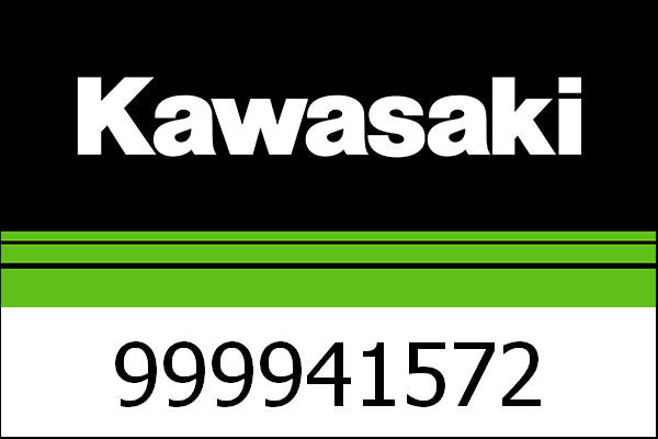 Kawasaki / カワサキ ローシート | 999941572