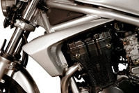 S2-Concept / S2コンセプト ラジエータースクープ BANDIT 600 塗装済み グレー | 607