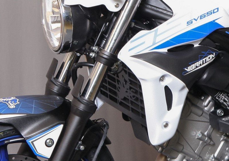 S2-Concept / S2コンセプト ラジエーターグリル SV-650 | W12S1434