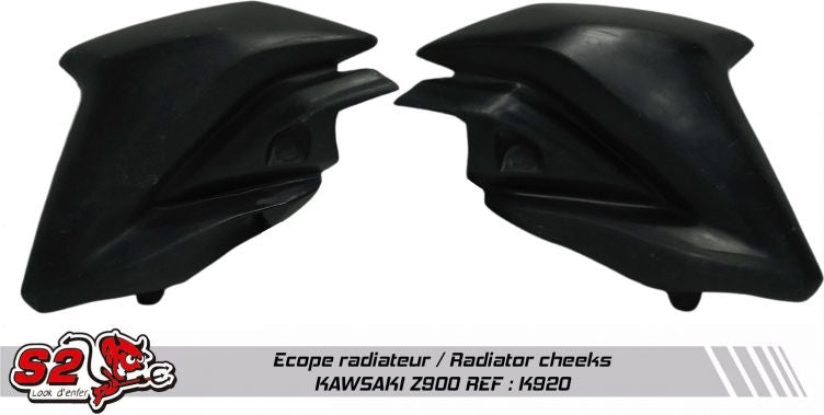 S2-Concept / S2コンセプト スクープ レーシング Z900 | K920