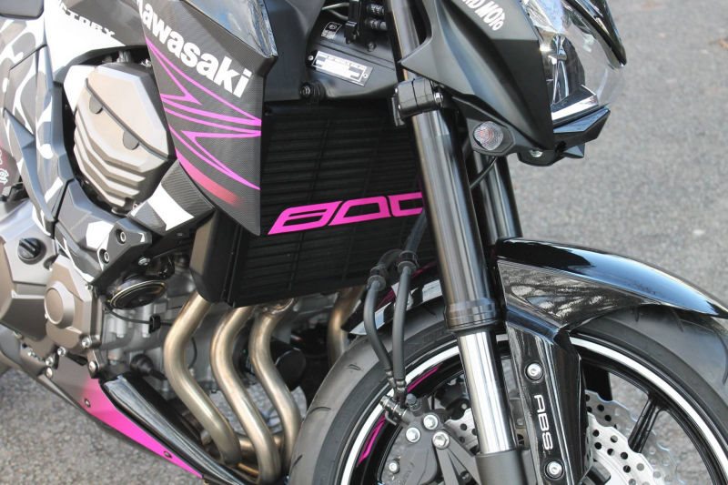 S2-Concept / S2コンセプト ラジエーターグリル Z800 レッド | W12K1729.002