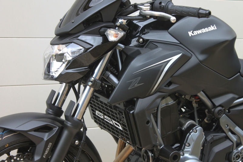 S2-Concept / S2コンセプト ラジエーターグリル Z 650 | W12K1731