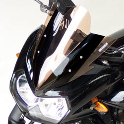Secdem Screen standard KAWASAKI 750 Z Stunt 05/06 | BK079ST