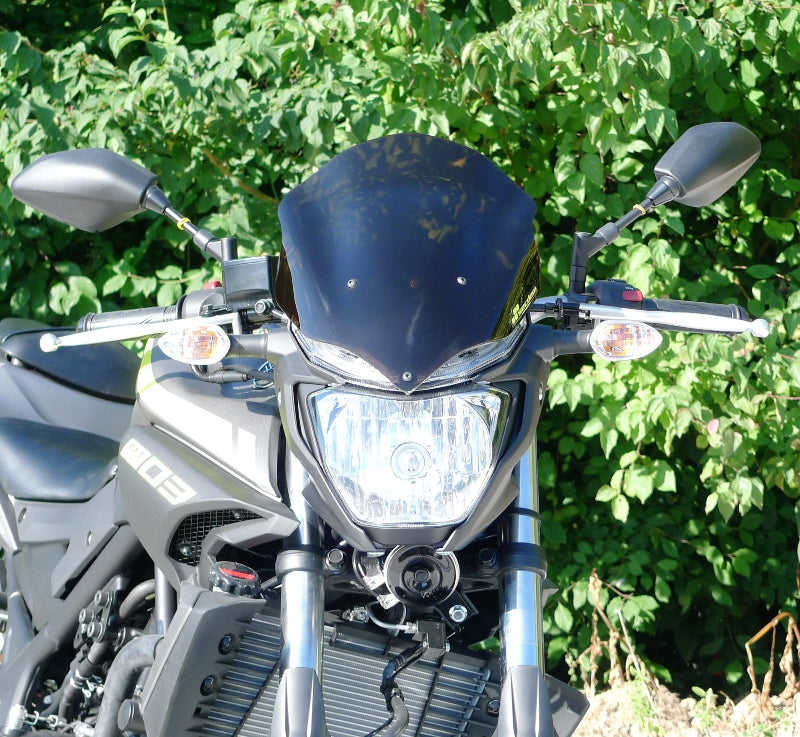 Secdem High Protection YAMAHA 300 MT-03 16/18 | BY173HP