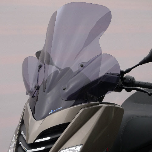 Secdem Wind shields PEUGEOT PEUGEOT 125 CITYSTAR 11/12 | PE009PB