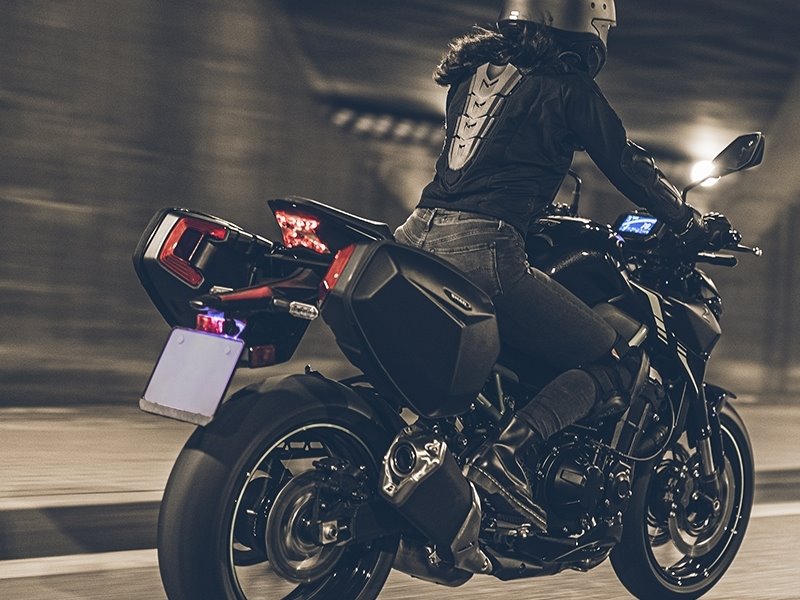 SHAD Expandable Saddle Bags - E48SR | 1117338