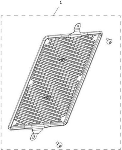 Triumph Radiator Guard Kit | A9709602