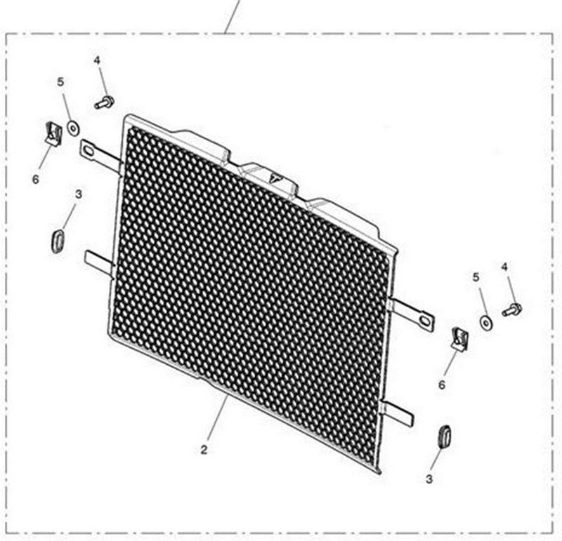 Triumph Radiator Guard | T2100817