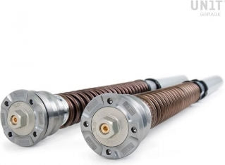 Unitgarage / ユニットガレージ Cartridge fork Ohlins NIX 30 R 1200 R (2015-2018) & R 1250 R (2019 until now) | FGK236