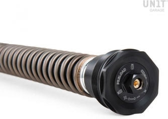Unitgarage / ユニットガレージ Ohlins Fork Cartridges NIX30S R nineT Roadster (2014-2016) | FKS509