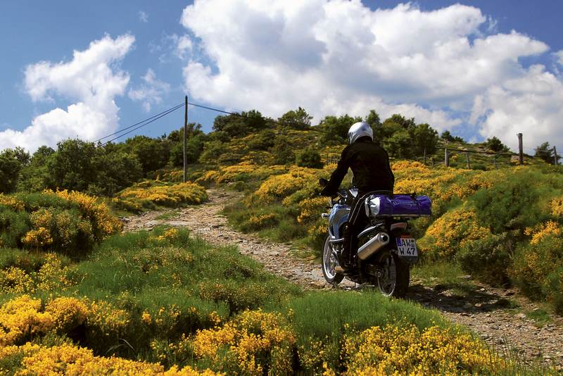 Wunderlich / ワンダーリッヒ Ergo Windshield - High - Clear | 25460-121