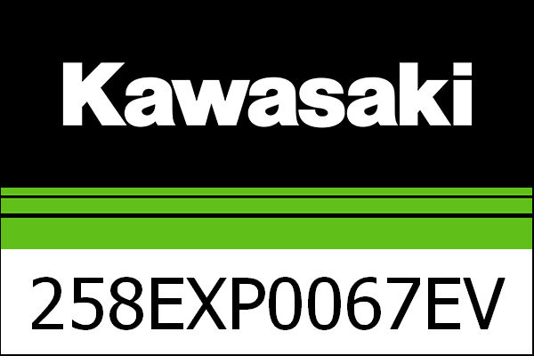 Kawasaki / カワサキ カーボン AKRA エグゾースト バルブ CV 