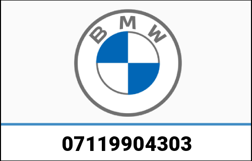 BMW Fillister Head Screw | 07119904303