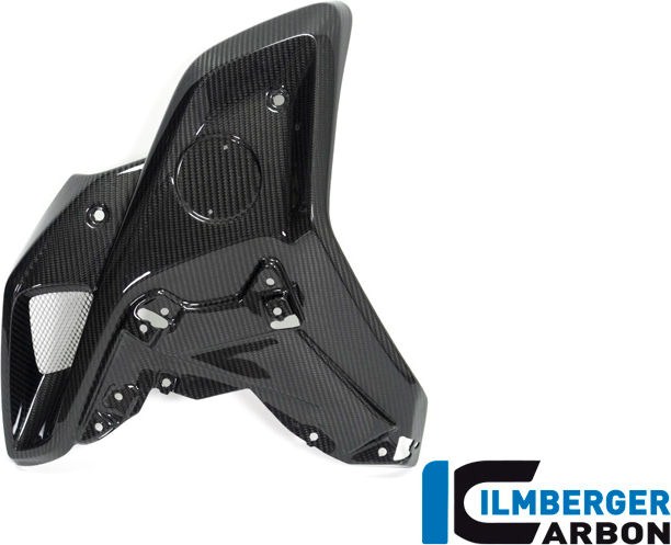 ILMBERGER / イルムバーガーカーボンパーツ エアチューブ 左側 (オリジナルステンレスディフレクター用) BMW R 1250 GS | WKL.026.GS19T.K