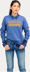 Harley-Davidson Women'S Essence Applique Crewneck Pullover, Gray Blue | 96602-22VW