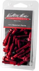 Valtermoto / バルターモト エンジンボルトキット レッド | VEM14Y 04